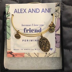 Alex and Ani bracelet
